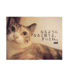 ういことえまこ（個別スタンプ：22）