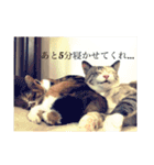 ういことえまこ（個別スタンプ：24）