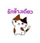 猫 : 今日の若者言葉 タイ語（個別スタンプ：3）