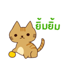 猫 : 今日の若者言葉 タイ語（個別スタンプ：6）