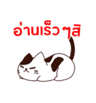 猫 : 今日の若者言葉 タイ語（個別スタンプ：13）