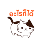 猫 : 今日の若者言葉 タイ語（個別スタンプ：17）