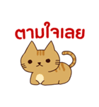 猫 : 今日の若者言葉 タイ語（個別スタンプ：18）