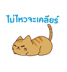 猫 : 今日の若者言葉 タイ語（個別スタンプ：30）