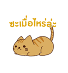 猫 : 今日の若者言葉 タイ語（個別スタンプ：34）