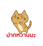 猫 : 今日の若者言葉 タイ語（個別スタンプ：38）