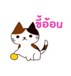 猫 : 今日の若者言葉 タイ語（個別スタンプ：39）