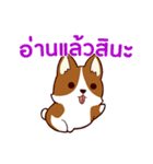 犬 : 今日の若者言葉 タイ語（個別スタンプ：12）