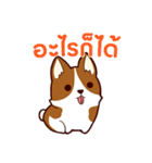 犬 : 今日の若者言葉 タイ語（個別スタンプ：17）