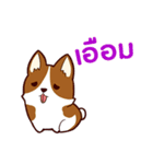 犬 : 今日の若者言葉 タイ語（個別スタンプ：27）