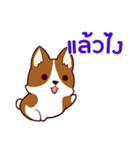 犬 : 今日の若者言葉 タイ語（個別スタンプ：37）