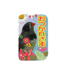 鳥天の子 2（個別スタンプ：11）