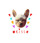 casey dogs 3（個別スタンプ：9）