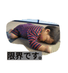 iwahoriboys（個別スタンプ：13）