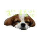 ちっくわ！（個別スタンプ：7）
