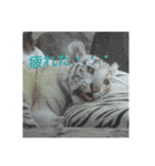 動物園のどうぶつ。（個別スタンプ：3）