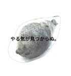 動物園のどうぶつ。（個別スタンプ：18）