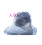 動物園のどうぶつ。（個別スタンプ：19）