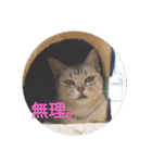 動物園のどうぶつ。（個別スタンプ：20）