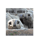 動物園のどうぶつ。（個別スタンプ：22）