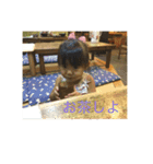 koko' stamp（個別スタンプ：7）