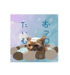 ネコとかいろいろ2（個別スタンプ：17）