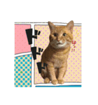 ネコとかいろいろ2（個別スタンプ：40）