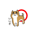 変なイヌと仲間たち（個別スタンプ：11）