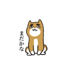 変なイヌと仲間たち（個別スタンプ：19）