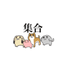 変なイヌと仲間たち（個別スタンプ：38）
