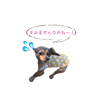 こうめみん2（個別スタンプ：3）