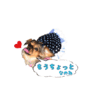 こうめみん2（個別スタンプ：11）