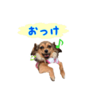 こうめみん2（個別スタンプ：13）
