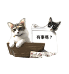Hua＆Yuan（個別スタンプ：1）