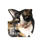 Hua＆Yuan（個別スタンプ：3）