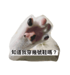 Hua＆Yuan（個別スタンプ：5）