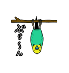 インコのコマちゃん（個別スタンプ：1）