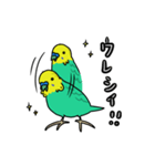 インコのコマちゃん（個別スタンプ：4）