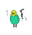 インコのコマちゃん（個別スタンプ：5）