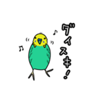 インコのコマちゃん（個別スタンプ：8）