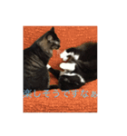 ねこ はな（個別スタンプ：11）