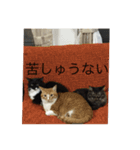 ねこ はな（個別スタンプ：15）