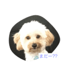Marupu Ren（個別スタンプ：14）