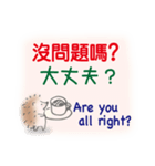 ハリネズミ 台湾華語と日本語と英語（個別スタンプ：19）