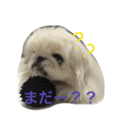 ココのいる生活（個別スタンプ：3）