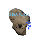 ココのいる生活（個別スタンプ：6）