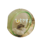 ハムスターのけだま（個別スタンプ：2）
