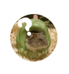 ハムスターのけだま（個別スタンプ：6）