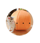 きよまるはなまる（個別スタンプ：1）