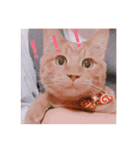 きよまるはなまる（個別スタンプ：2）
